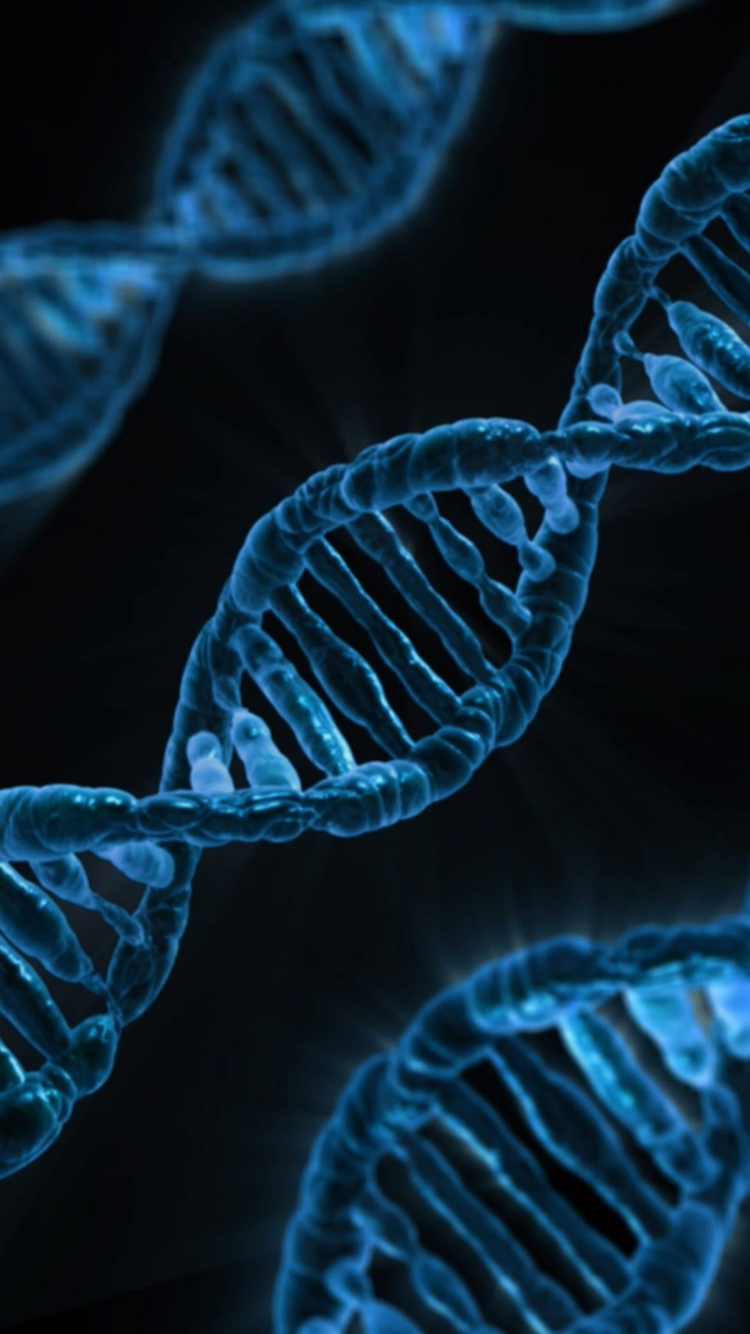 Home publicdomainpictures dna 163466 1920